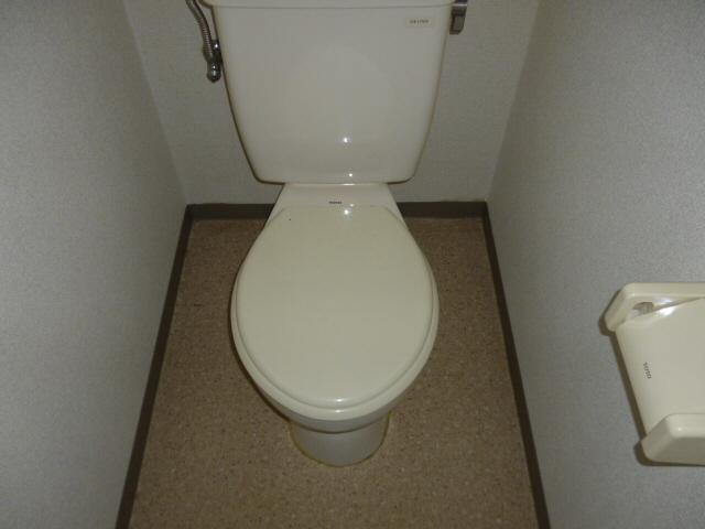 Toilet. Isomorphic type