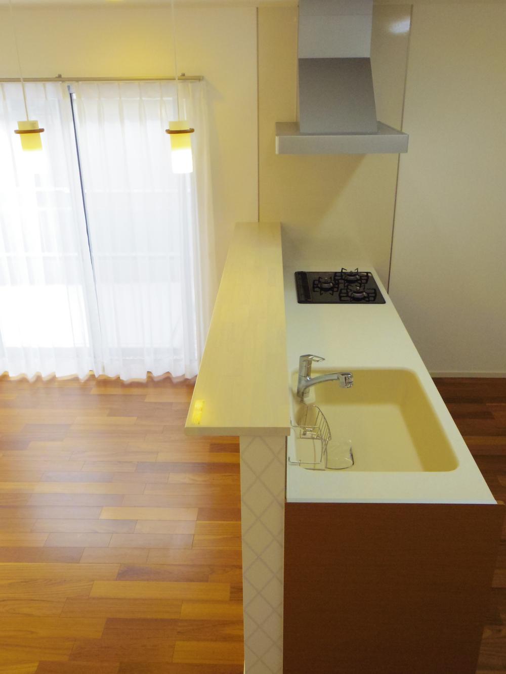 Kitchen. Indoor (12 May 2013) Shooting