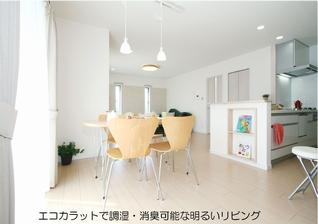 Building plan example (introspection photo). Living-dining