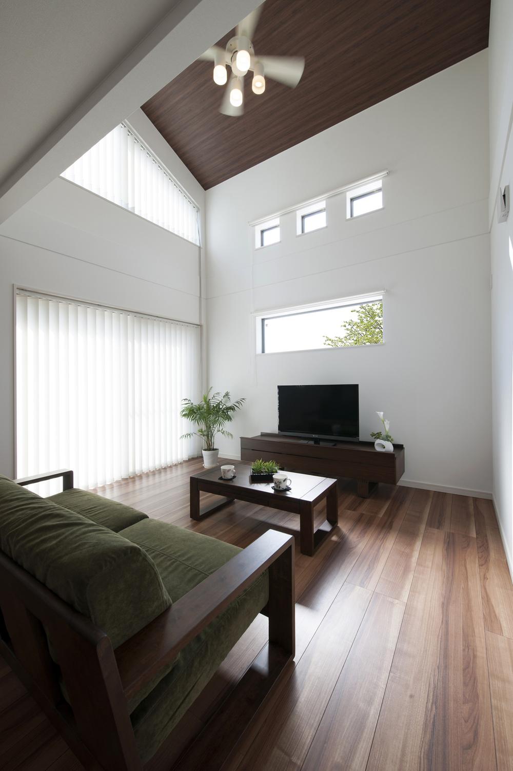 Living. Bright living room with vaulted ceiling [No, B] 