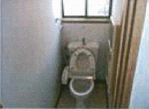 Toilet. Warm water washing toilet