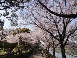 park. 2359m to Nakanoike park