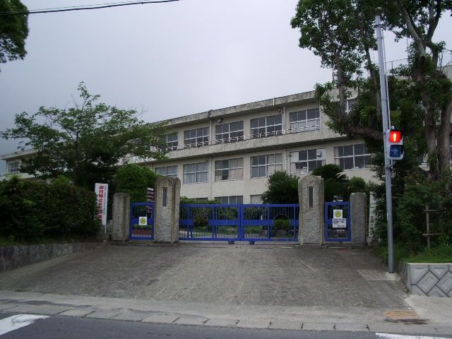 Primary school. Municipal Fuki to elementary school (elementary school) 590m