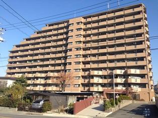 Local appearance photo. From the south