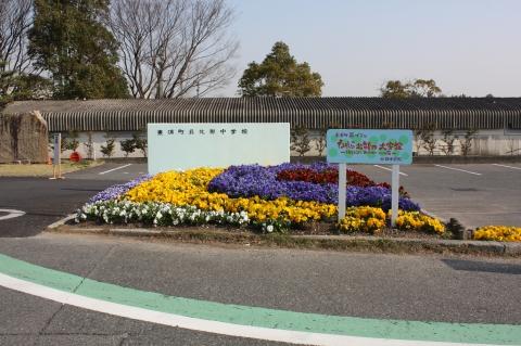 Junior high school. Higashiura Municipal up north junior high school 1500m