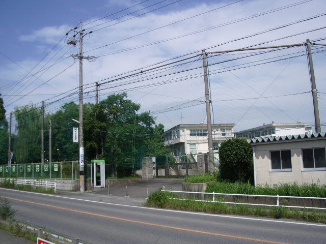 Primary school. Municipal plants 880m up to elementary school (elementary school)