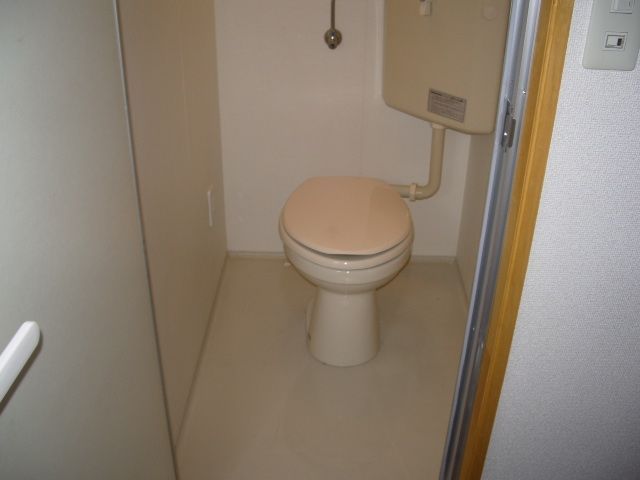 Toilet. Western-style toilet. 