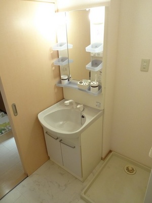 Washroom. Bathroom Vanity  ※ Furniture is an image.