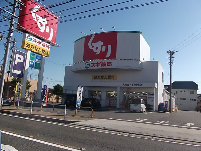 Dorakkusutoa. Cedar pharmacy moon shop 1720m until (drugstore)