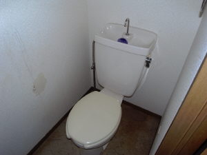 Toilet