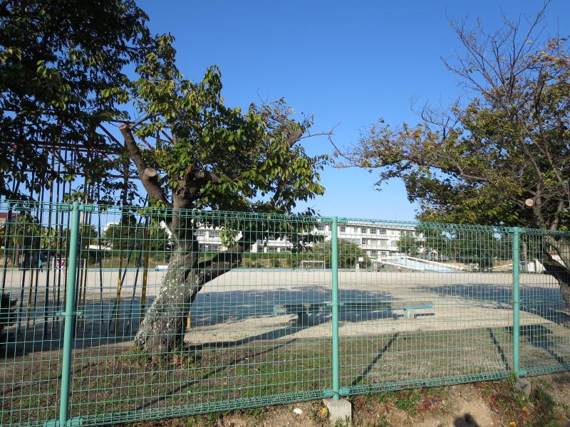Primary school. 1115m until taketoyo stand Taketoyo Elementary School (elementary school)