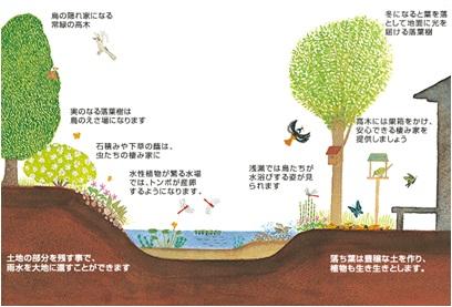 Other. Garden creation of Sekisui House is using the technique to suit the nature of Japan, It begins to choose the matching trees in climate of the land. By planting trees suitable for the region, It attracts willing variety of creatures, such as birds and butterflies.