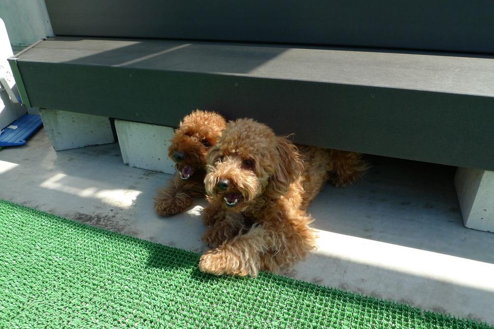 Same specifications photos (Other introspection). Rooftop balcony same specifications Photos