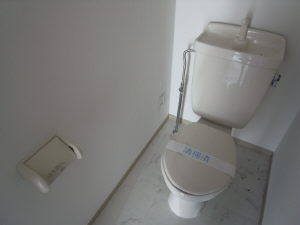 Toilet