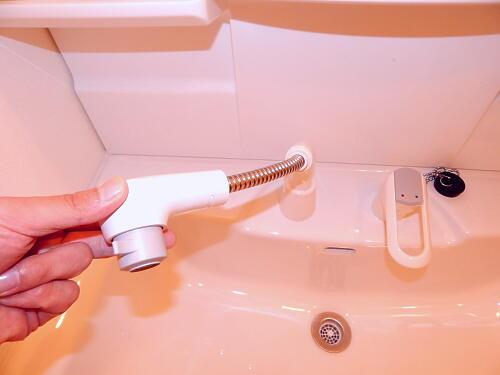 Wash basin, toilet. Shower