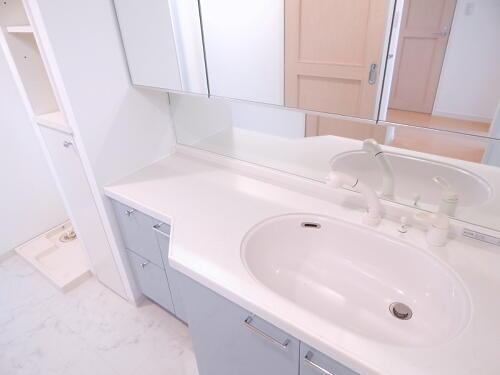 Wash basin, toilet. Bathroom vanity