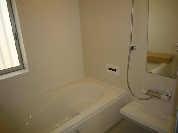 Bathroom. Indoor (12 May 2013) Shooting