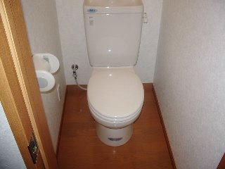 Toilet. Toilet