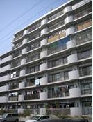 Local appearance photo. appearance