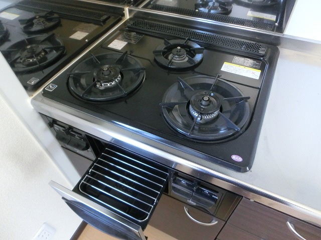 Other Equipment. Gas stove 3-neck