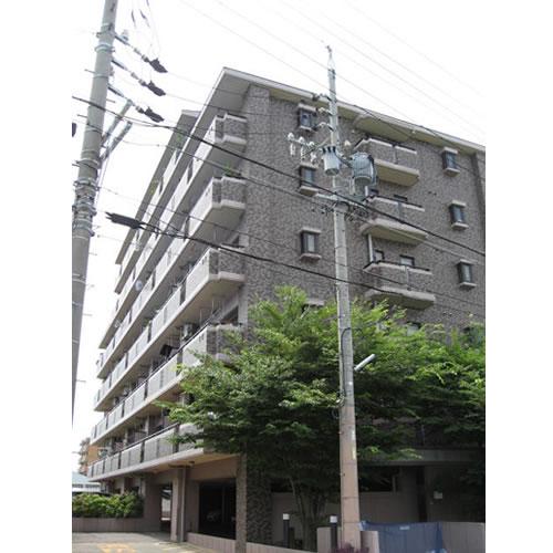 Local appearance photo. Local (July 2013) Shooting