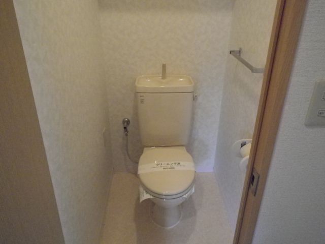 Toilet. Toilet