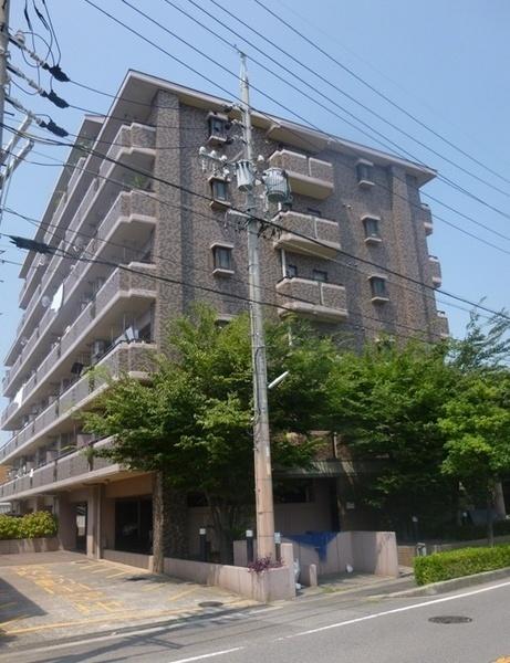 Local appearance photo. Local (12 May 2013) Shooting