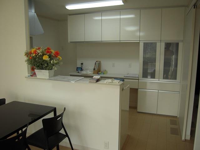 Kitchen. Indoor (10 May 2013) Shooting