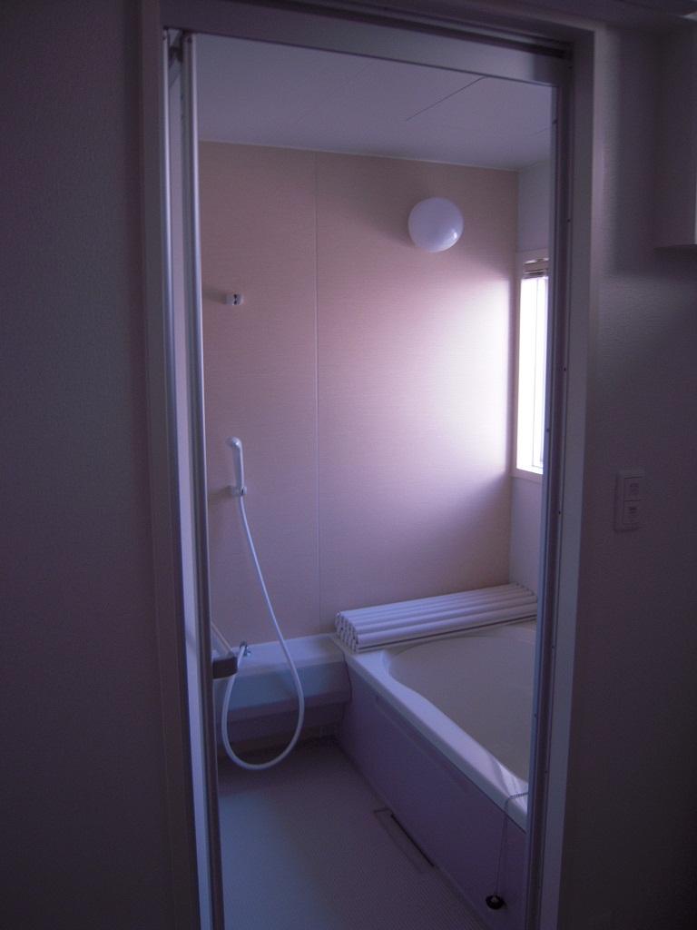 Bathroom. Indoor (10 May 2013) Shooting