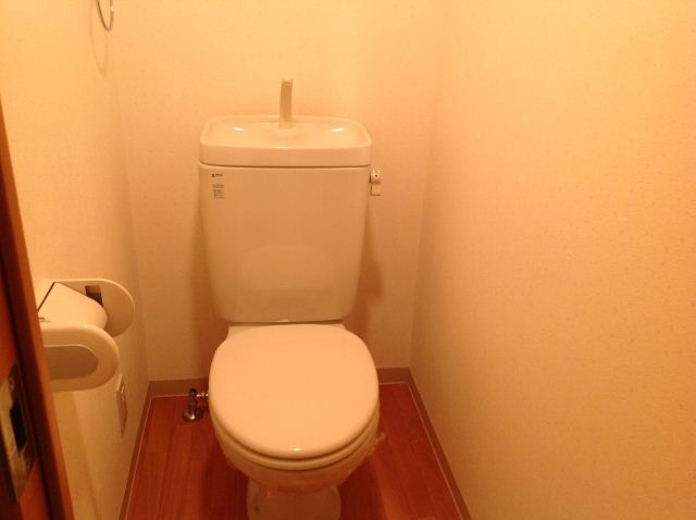 Toilet. Toilet