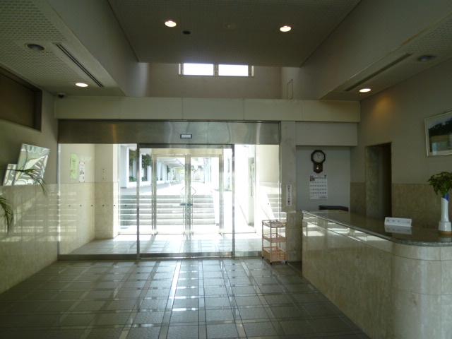 Entrance. Common areas
