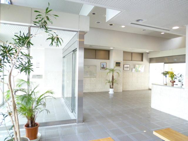 Entrance. Common areas