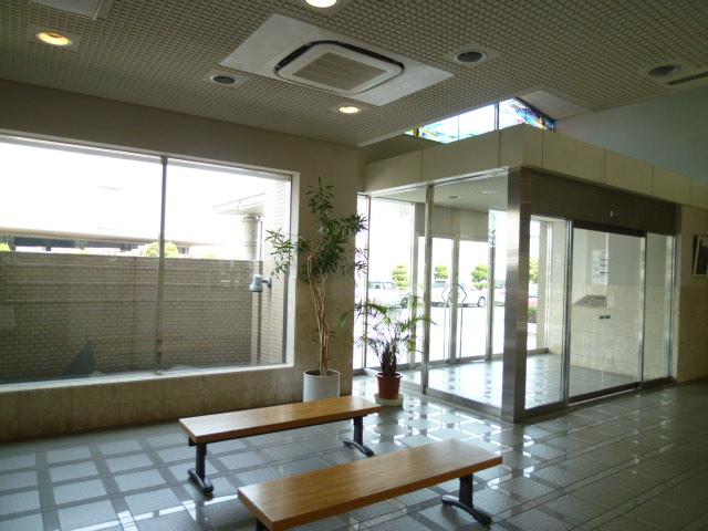 Entrance. Common areas