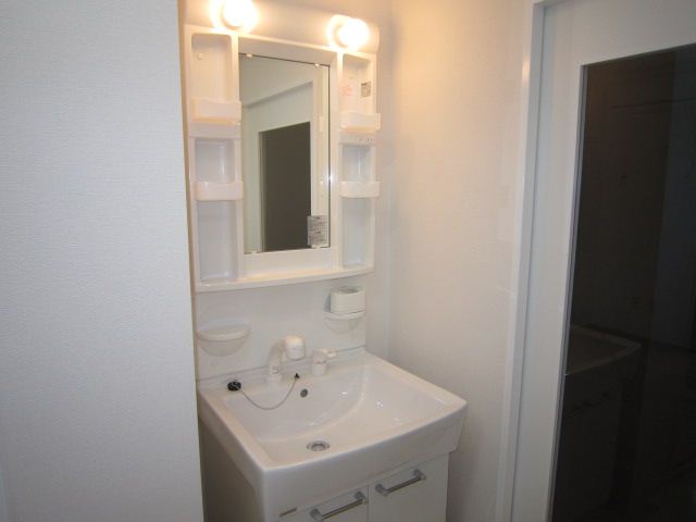 Washroom. Bathroom vanity