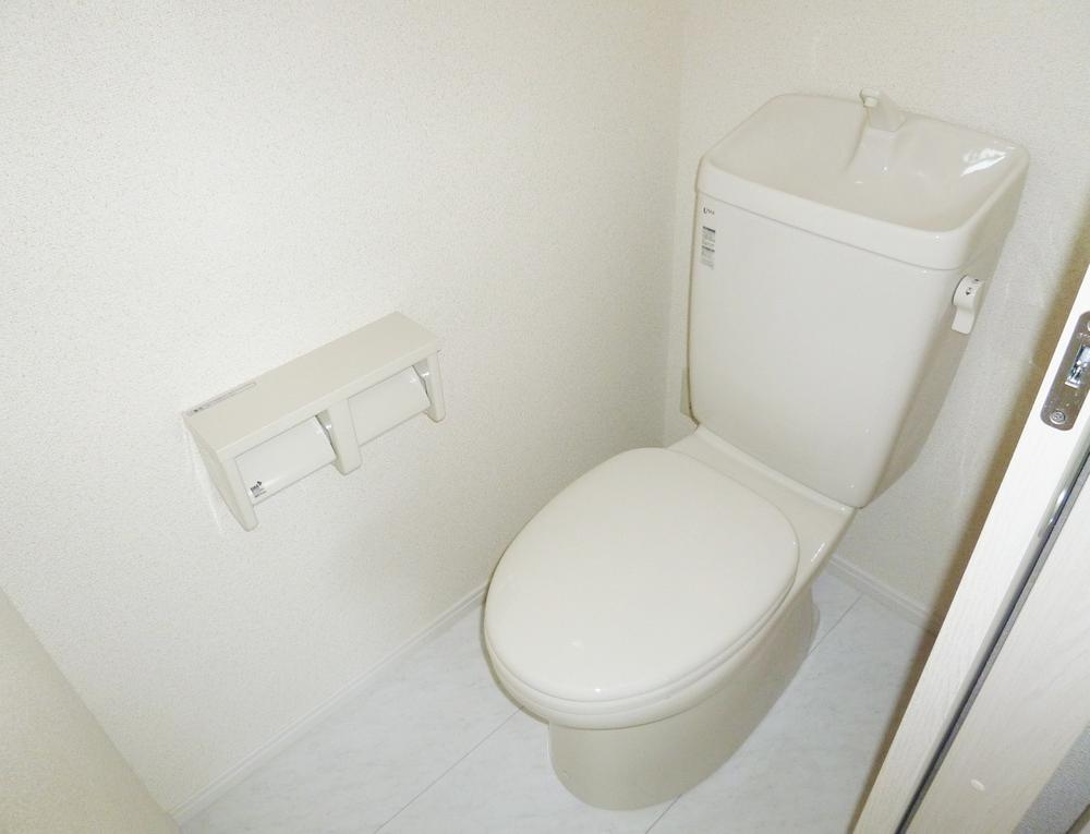 Toilet. Room (August 2013) Shooting