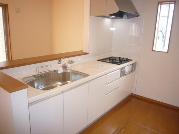 Kitchen. Indoor (12 May 2013) Shooting