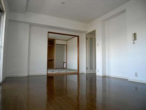 Living. Living room 1