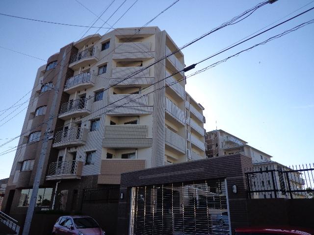 Local appearance photo. 2013 November shooting