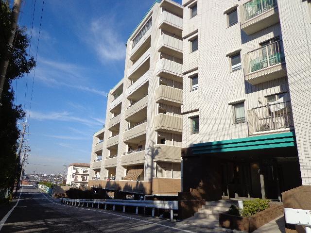 Local appearance photo. 2013 November shooting