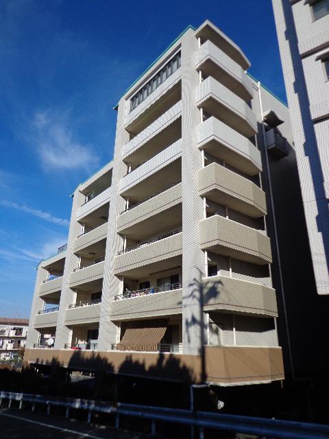 Local appearance photo. 2013 November shooting