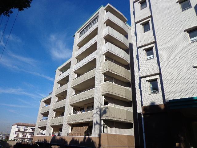 Local appearance photo. 2013 November shooting