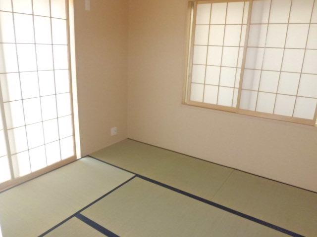 Non-living room. Also very active at the time of moist calm space visitors