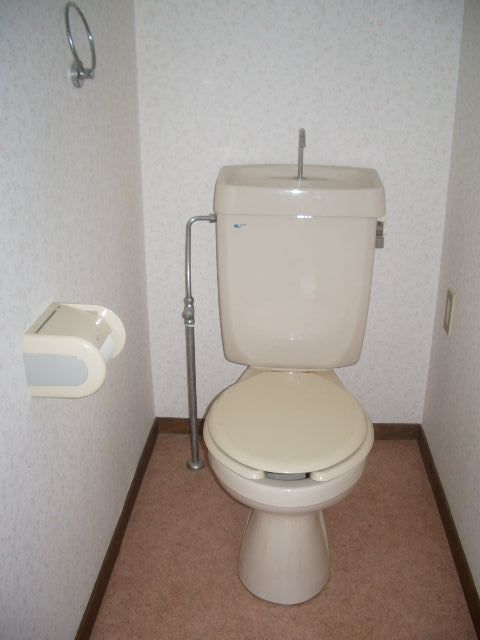 Toilet. Toilet