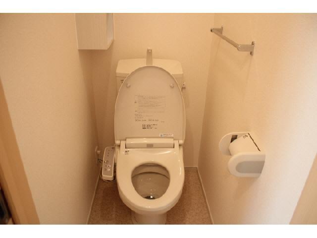 Toilet. Isomorphic type