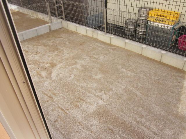 Garden. Local (12 May 2013) Shooting