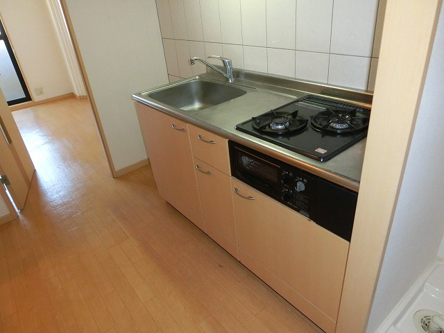 Kitchen. System kitchen Gas stove 2-neck