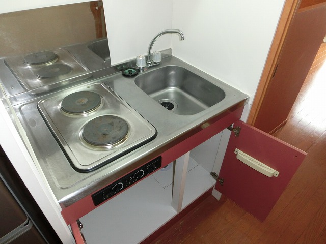 Kitchen. Electric stove 2-neck