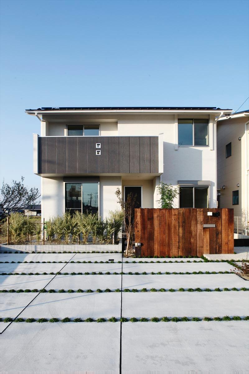 Local appearance photo. B Togaikan photo