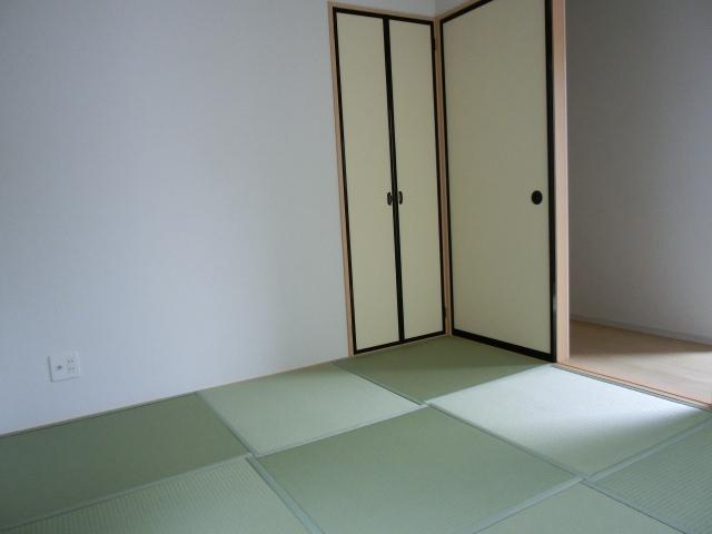 Other introspection. Indoor (December 10, 2013) Shooting