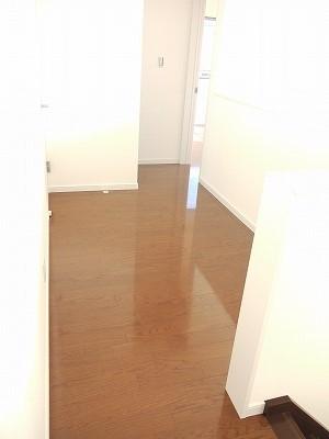 Other introspection. Indoor (July 2012) shooting